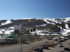 Superbe T2 Cabine avec Terrasse et Parking à Super Besse - FR-1-814-66